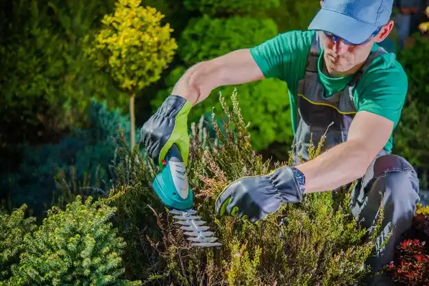 landscaping services Hollandale